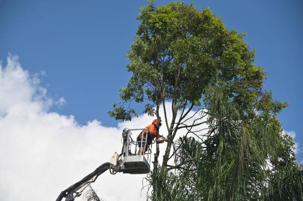 Seasonal Cleanup (Spring/Fall) in Hollidaysburg, PA